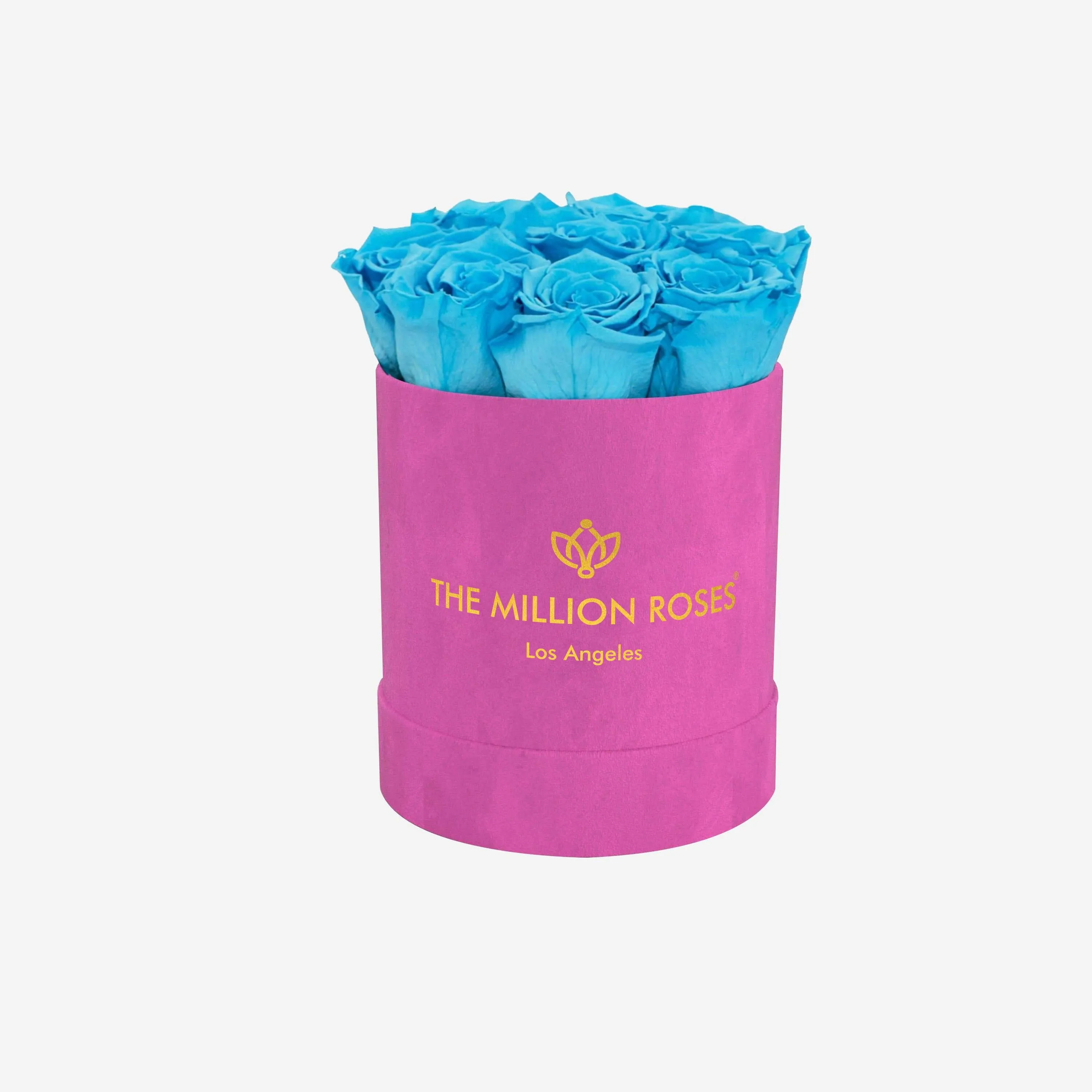 Basic Hot Pink Suede Box | Light Blue Roses