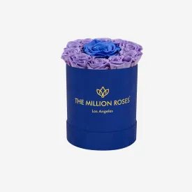 Basic Royal Blue Suede Box | Lavender & Violet Mini Roses