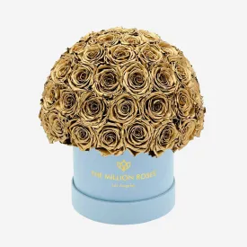 Classic Light Blue Suede Superdome Box | Gold Roses