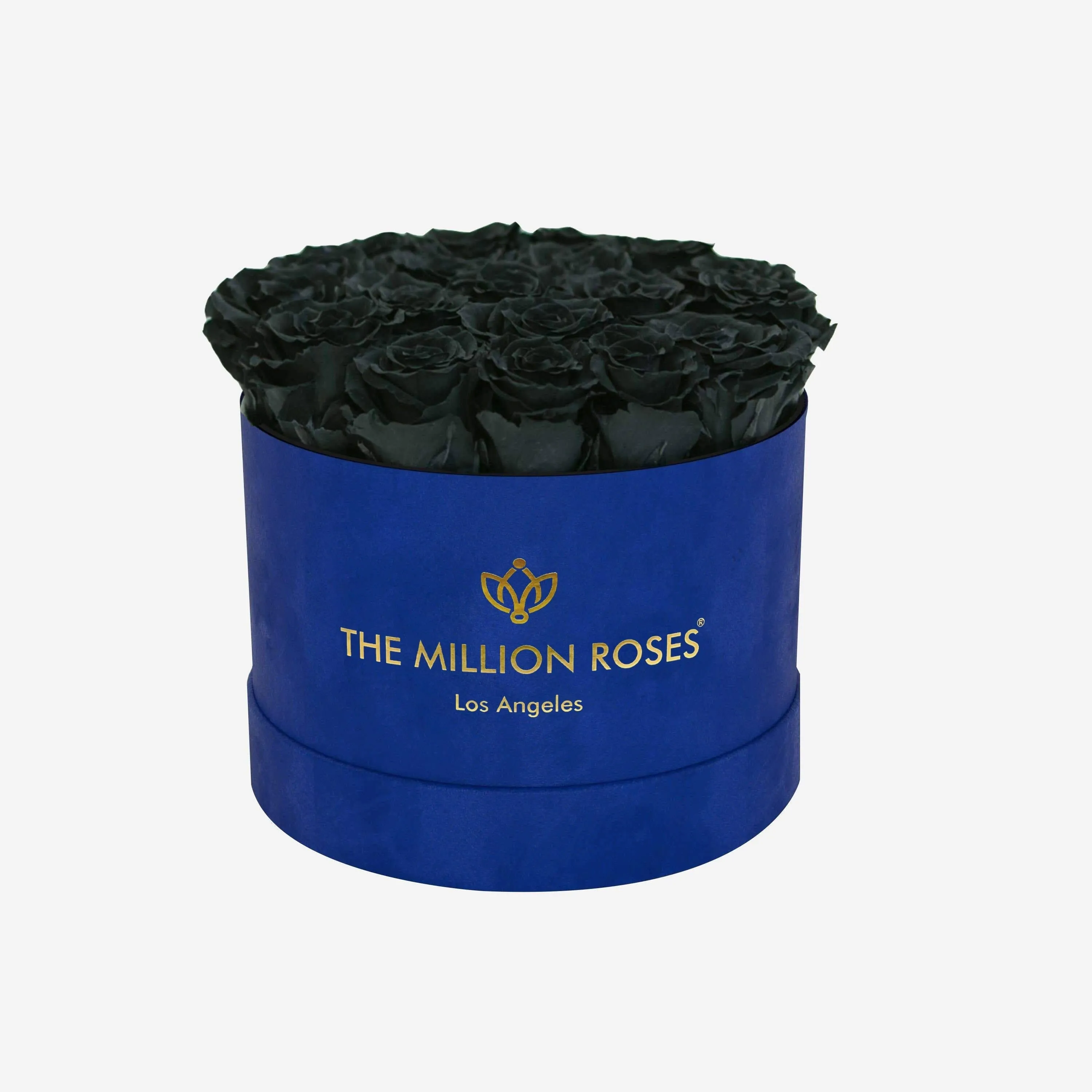 Classic Royal Blue Suede Box | Black Roses