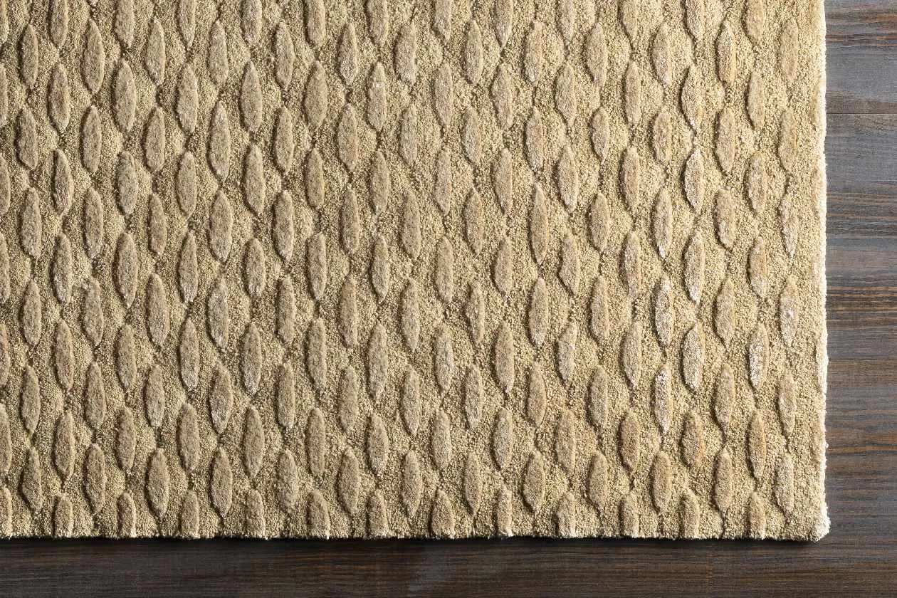 Goldmsall Solid and Border Area Rug